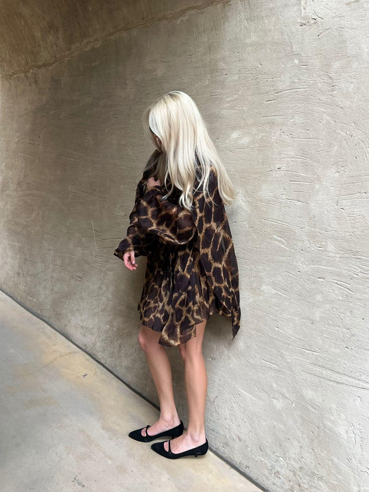 Dolce & Gabbana Brown Leopard Print Silk Mini Dress thumbnail 2