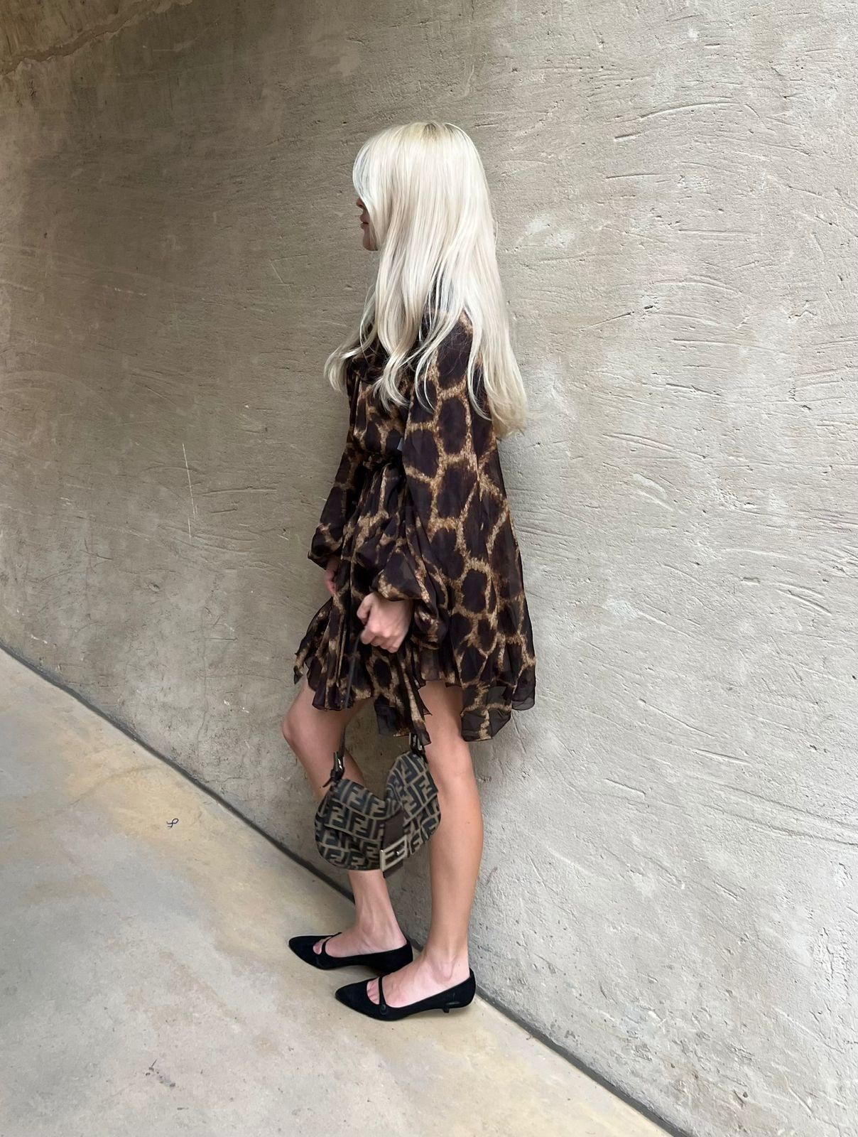 Dolce & Gabbana Brown Leopard Print Silk Mini Dress thumbnail 4